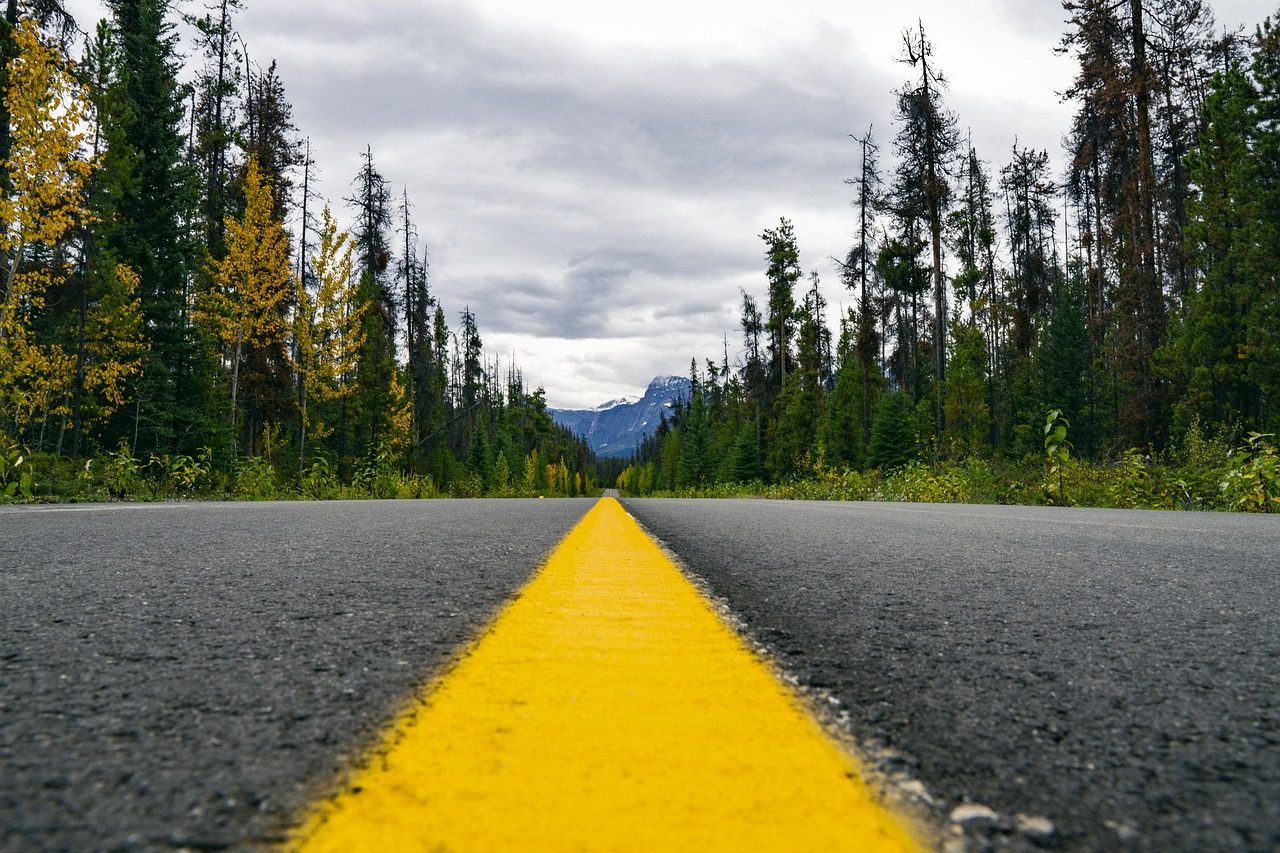 Open road with a yellow centre line leading through a forest toward distant mountains